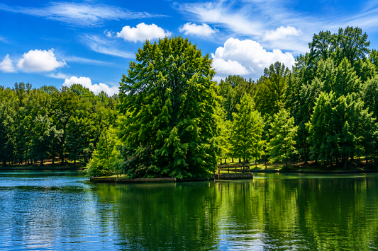 Serene lake with lush island park